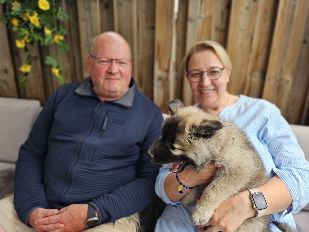 Auszug Don Carlito.png